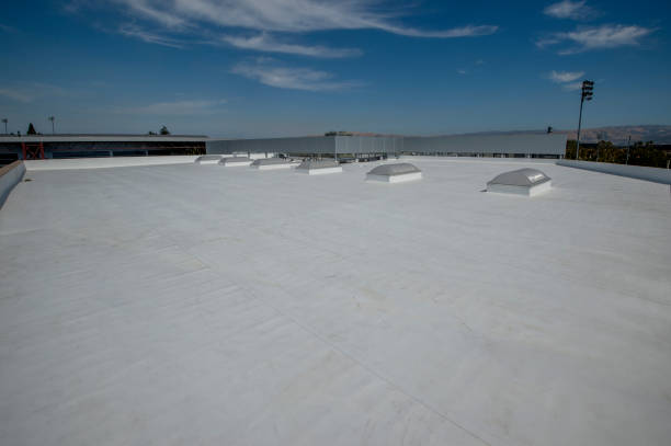 Best Sheet Metal Roofing  in Manchester, MO